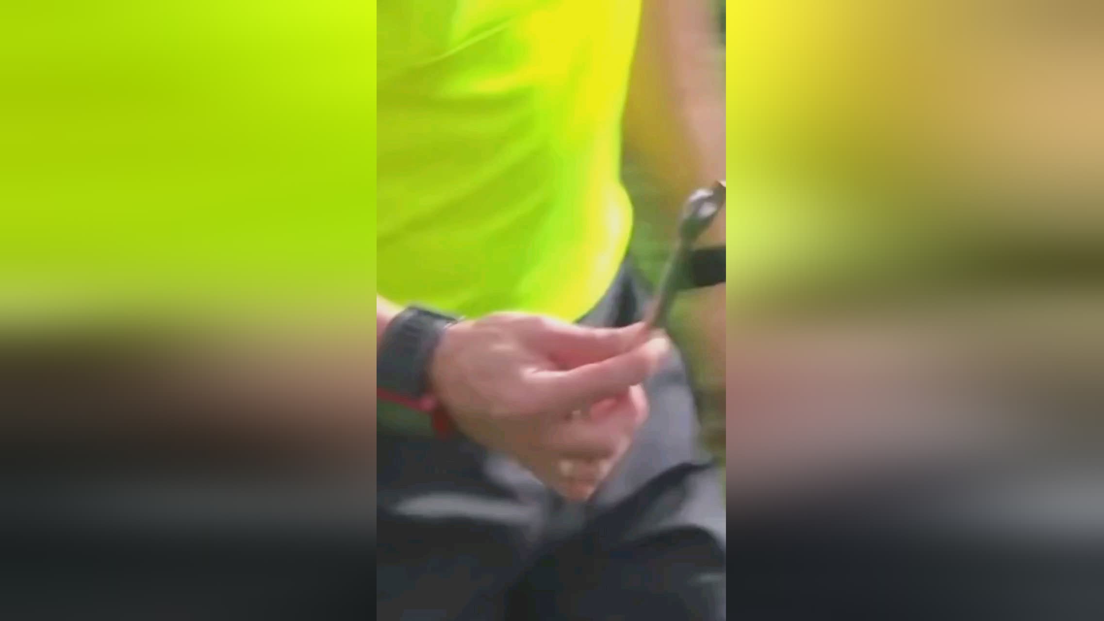 战术分析双